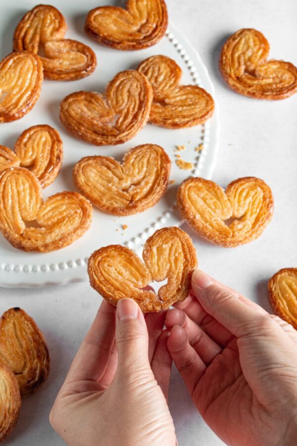 Palmier with Sugar