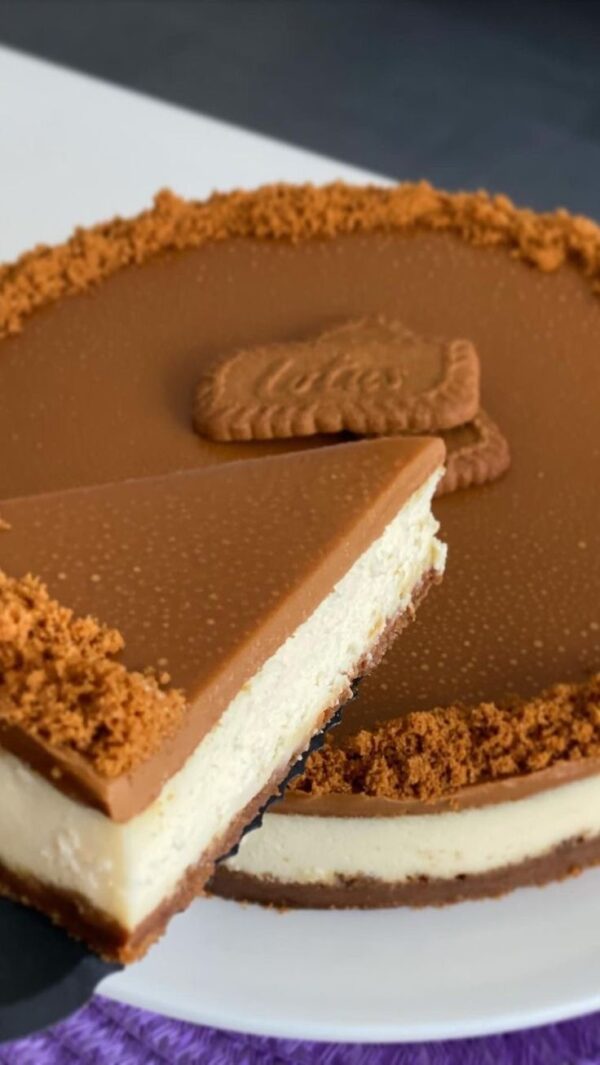 Lotus Cheesecake