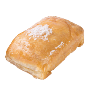 Bagasha